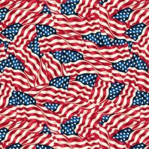 Flags - Wideback Fabric