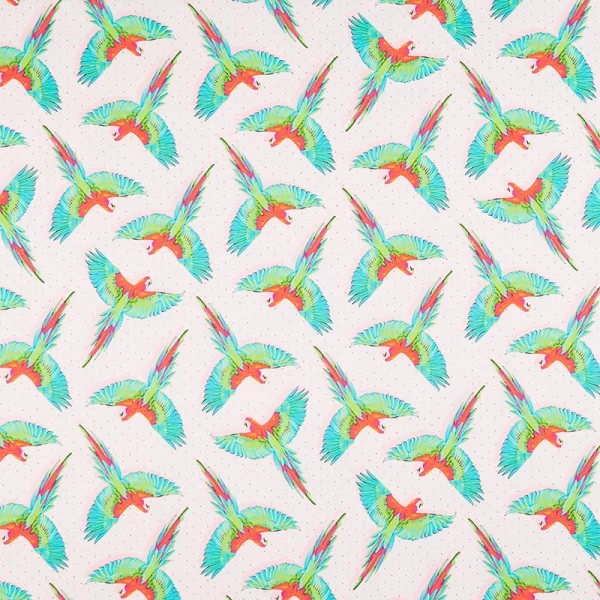 Daydreamer - Macaw Ya Later - Dragonfruit
