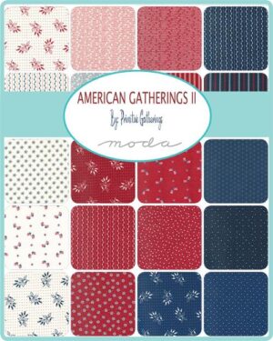 American Gatherings II