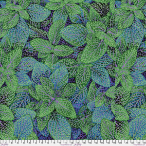 Kaffe Fassett - Fittonia - Green