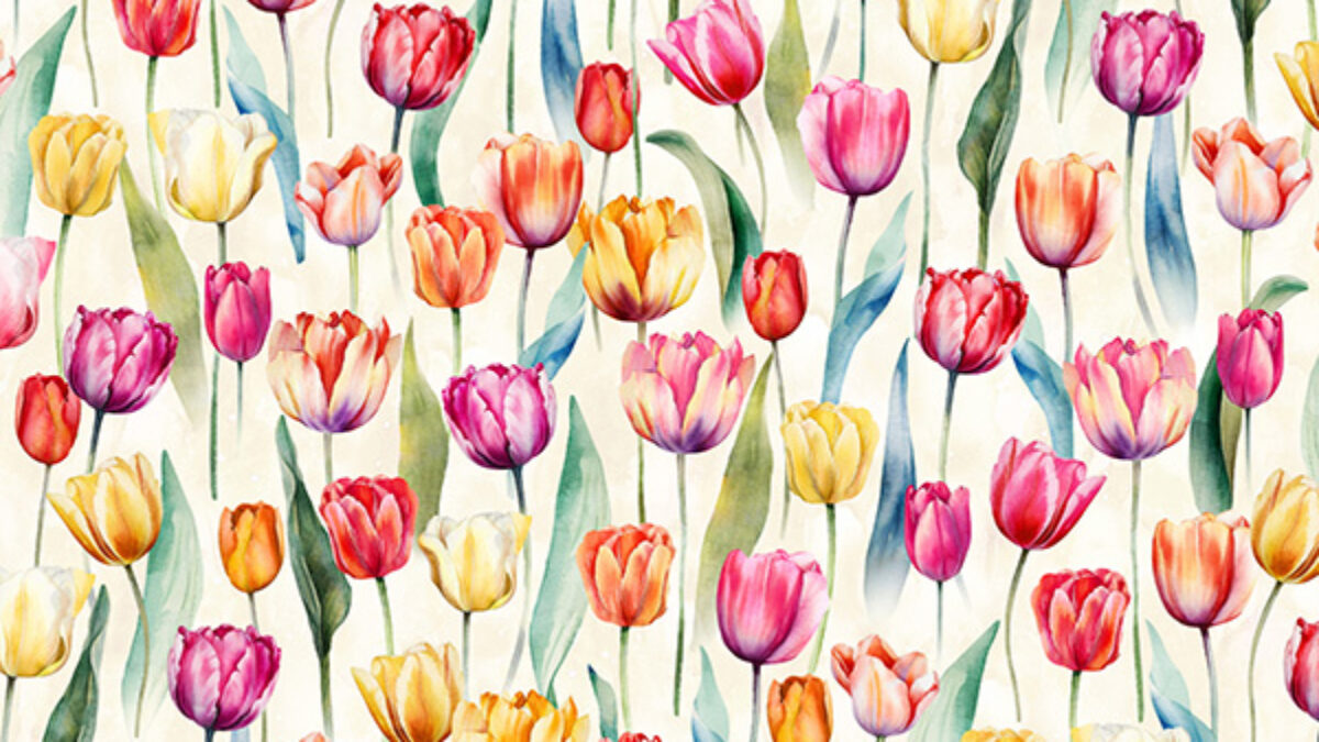 W5480-439-Tulip-1200x675.jpg