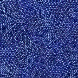 High Tide - Netting - Royal Blue