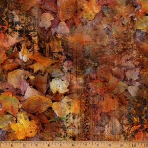 On the Path to Fall - Leaves