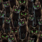 Nightmare at Halloween - Halloween Cats - Black